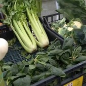 Asti, ogni lunedì il mercato agricolo Cia in piazza Alfieri. Intanto la ricerca Cia Trend fotografa il paradosso del Made in Italy [VIDEO]