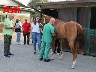 Le visite veterinarie di questa mattina (Merphefoto) Le visite veterinarie di questa mattina (Merphefoto)