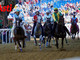Le immagini del Palio (Ph Rozzino Filippo) Le immagini del Palio (Ph Rozzino Filippo)