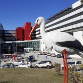 La cicogna di fronte al Punto nascite dell'ospedale Michele e Pietro Ferrero di Verduno