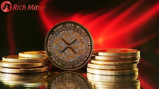 XRP investors use Rich Miner cloud mining to passively earn $156,000?
