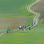 Camminando con Libera, una passeggiata solidale verso Cascina Graziella Camminando con Libera, una passeggiata solidale verso Cascina Graziella