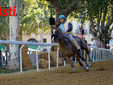 Le immagini del Palio (Ph Rozzino Filippo) Le immagini del Palio (Ph Rozzino Filippo)