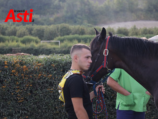 Le visite veterinarie di questa mattina (Merphefoto) Le visite veterinarie di questa mattina (Merphefoto)