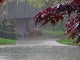 Piogge intense nell’Astigiano: diversi interventi dei Vigili del Fuoco per alberi pericolanti
