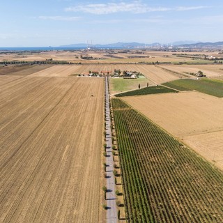 Agroteam, competenza e cura per la soddisfazione del cliente