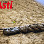 Il borsino del Palio: Don Bosco è il favorito, ma attenti alle sorprese