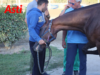Il secondo giorno di visite (Merphefoto) Il secondo giorno di visite (Merphefoto)