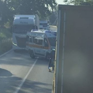 Incidente questa mattina a Palucco, una moto si è scontrata contro un capriolo Incidente questa mattina a Palucco, una moto si è scontrata contro un capriolo