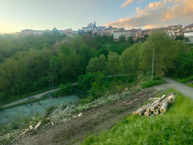 Le immagini del parco del Pollaro
