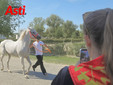 Il secondo giorno di visite (Merphefoto) Il secondo giorno di visite (Merphefoto)