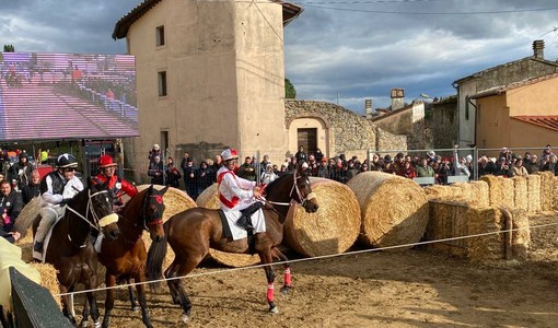 Il Palio di Buti
