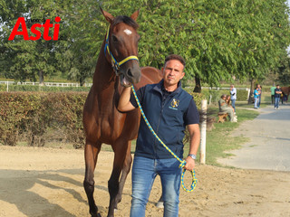 Le visite veterinarie di questa mattina (Merphefoto) Le visite veterinarie di questa mattina (Merphefoto)