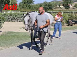 Il secondo giorno di visite (Merphefoto) Il secondo giorno di visite (Merphefoto)