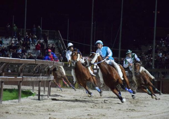 Provaccia (Ph Legnanonews) Provaccia (Ph Legnanonews)
