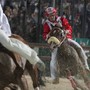 Palio, nella notte a Legnano scompare l'impianto di addestramento: "Un gesto vile che colpisce la tradizione"