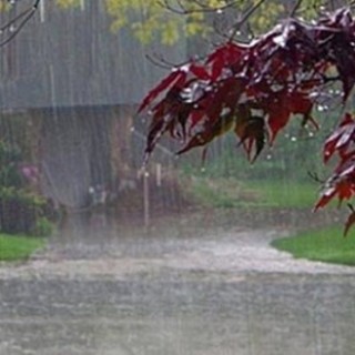 Piogge intense nell’Astigiano: diversi interventi dei Vigili del Fuoco per alberi pericolanti