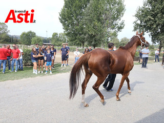 Le visite veterinarie di questa mattina (Merphefoto) Le visite veterinarie di questa mattina (Merphefoto)
