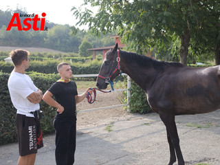 Le visite veterinarie di questa mattina (Merphefoto) Le visite veterinarie di questa mattina (Merphefoto)
