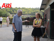 Le visite veterinarie di questa mattina (Merphefoto) Le visite veterinarie di questa mattina (Merphefoto)