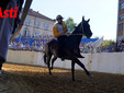 Le immagini del Palio (Ph Rozzino Filippo) Le immagini del Palio (Ph Rozzino Filippo)