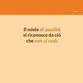 Nasce la pagina “Qualità Miele”: le analisi al centro della tutela del miele piemontese