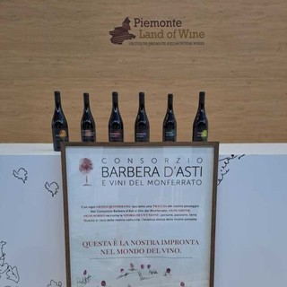 Il Consorzio Barbera d’Asti e Vini del Monferrato si rifà il &quot;trucco&quot; con il rinnovamento delle etichette