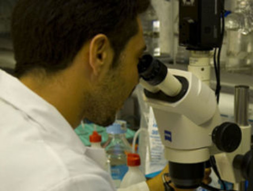 Nuova arma per combattere il tumore del colon scoperta in Piemonte dai ricercatori