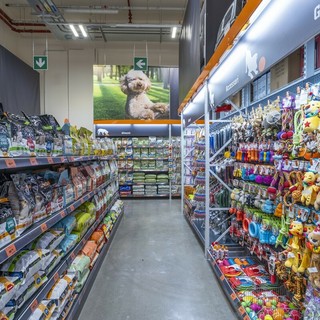 Happy Pets Days: la solidarietà arriva nei negozi OBI del Piemonte