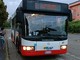 Collegamento bus San Fedele Asti: il consigliere comunale Spata (M5S): &quot;L'unico collegamento è troppo piccolo&quot;