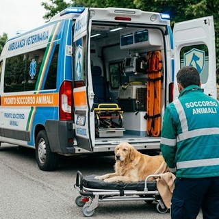 Immagine realizzata con il supporto dell'AI