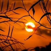 Notte rovente nella Granda: l'anticiclone non dà tregua, temperature inchiodate sopra i 20 gradi all'alba. Anche oggi attesi 35° Notte rovente nella Granda: l'anticiclone non dà tregua, temperature inchiodate sopra i 20 gradi all'alba. Anche oggi attesi 35°