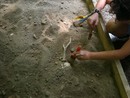 Due importanti appuntamenti nel mese di agosto per il Parco Paleontologico Astigiano