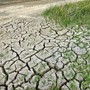 Campi all'asciutto e raccolti a rischio, Confagricoltura promuove la linea della Regione sull'emergenza idrica Campi all'asciutto e raccolti a rischio, Confagricoltura promuove la linea della Regione sull'emergenza idrica
