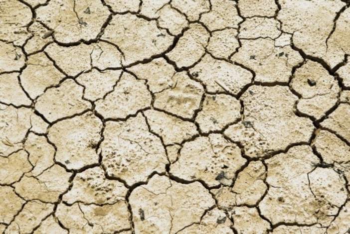 Confagricoltura Piemonte: più risorse per credito agrario e cooperative contro la siccità