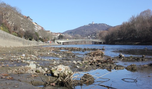 Siccità, il Piemonte avvia le procedure per le richieste dello stato di calamità
