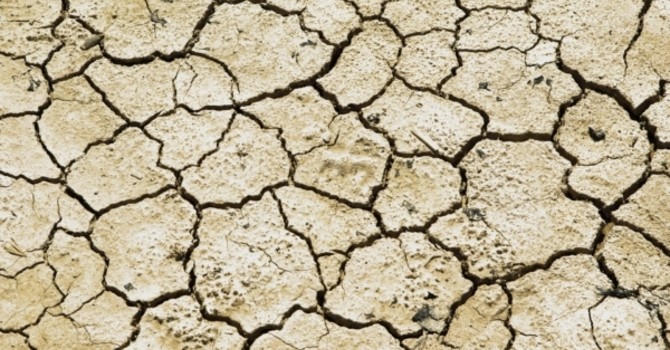 Confagricoltura Piemonte: più risorse per credito agrario e cooperative contro la siccità