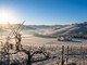 Colpo di coda dell'inverno: in arrivo aria artica con forti venti e intense gelate su Astigiano e Monferrato