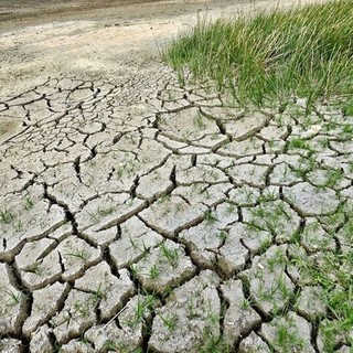 Siccità in Piemonte, pronta la dichiarazione dello stato di emergenza per la crisi idrica Siccità in Piemonte, pronta la dichiarazione dello stato di emergenza per la crisi idrica