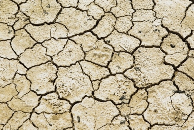 Confagricoltura Piemonte: più risorse per credito agrario e cooperative contro la siccità Confagricoltura Piemonte: più risorse per credito agrario e cooperative contro la siccità