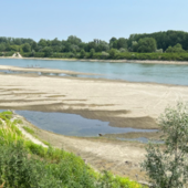 Siccità 2026, Confagricoltura Piemonte lancia l’allarme: “Danni per 2 miliardi, servono subito interventi” Siccità 2026, Confagricoltura Piemonte lancia l’allarme: “Danni per 2 miliardi, servono subito interventi”