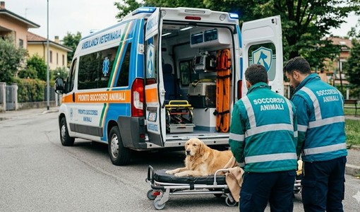 Immagine realizzata con il supporto dell'AI Immagine realizzata con il supporto dell'AI
