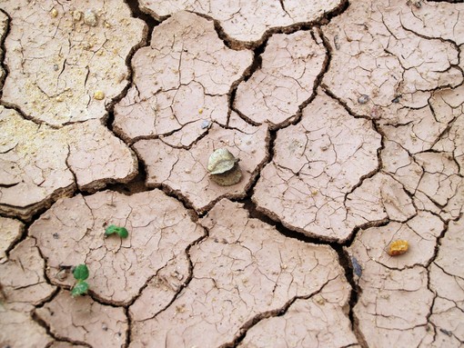 Il Consiglio comunale di Asti approva la mozione per contrastare la siccità, soddisfazione dei 5 Stelle