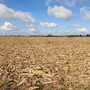 Confagricoltura Piemonte: “Più risorse per sostenere le aziende agricole colpite dalla siccità”