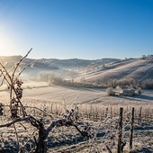 Colpo di coda dell'inverno: in arrivo aria artica con forti venti e intense gelate su Astigiano e Monferrato