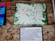 Le immagini della mostra (Merphefoto)
