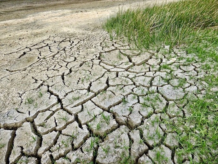 Emergenza siccità in Piemonte, Canalis attacca Cirio: "Solo due invasi realizzati dal 2019, servono interventi urgenti"