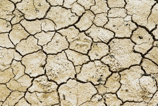 Confagricoltura Piemonte: più risorse per credito agrario e cooperative contro la siccità Confagricoltura Piemonte: più risorse per credito agrario e cooperative contro la siccità