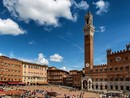 Siena, dopo l'assegnazione Montone e Pantera tra i favoriti [VIDEO]