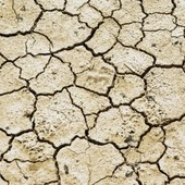 Confagricoltura Piemonte: più risorse per credito agrario e cooperative contro la siccità